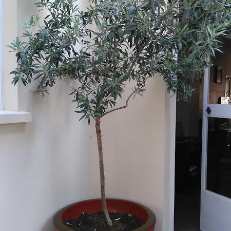Hotel Esperanto Cannes