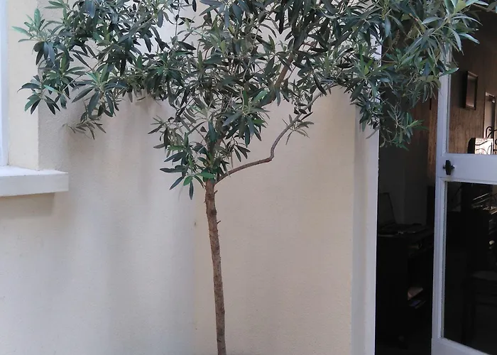 Hotel Esperanto Cannes